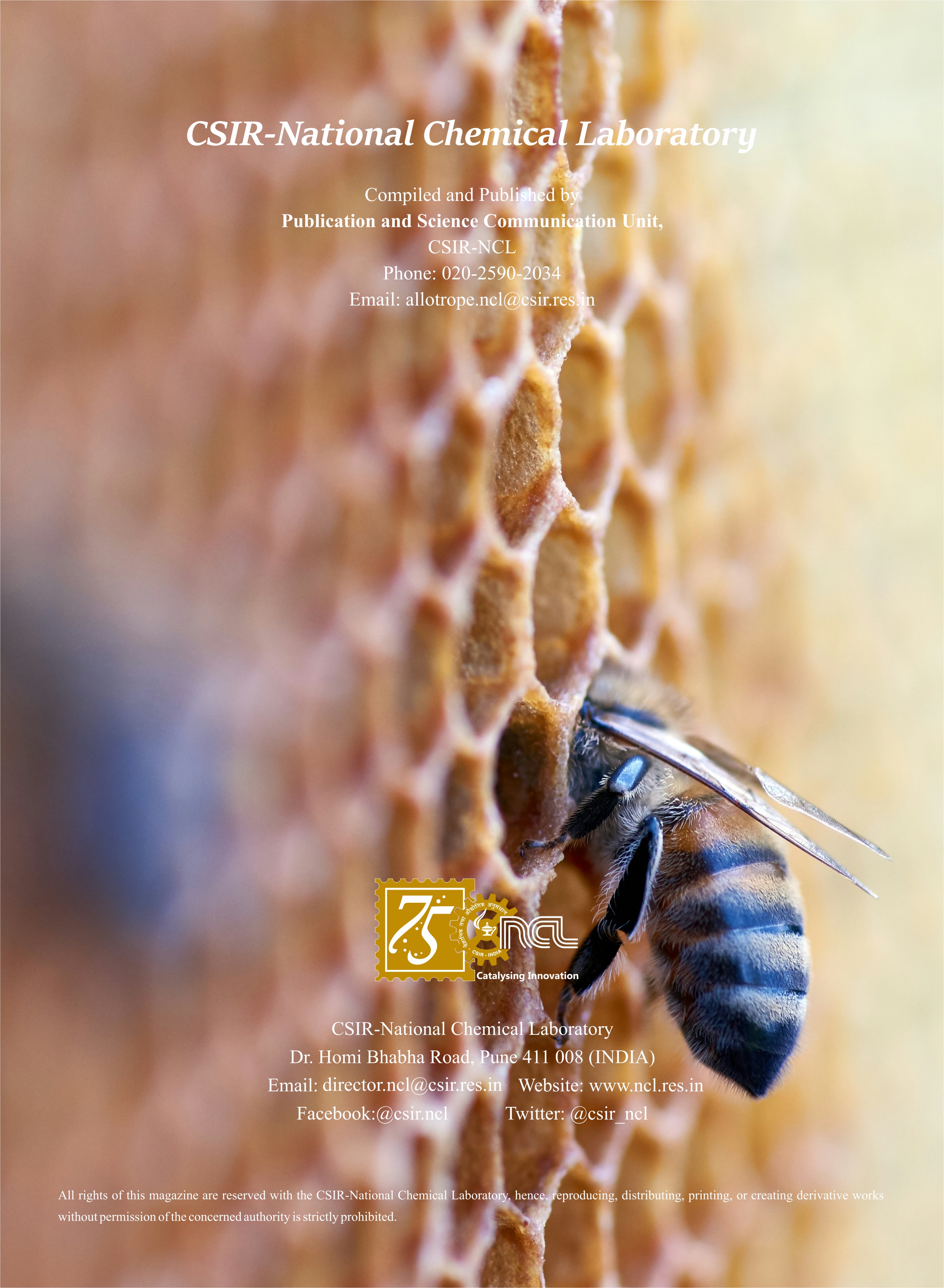 Annual Report Image