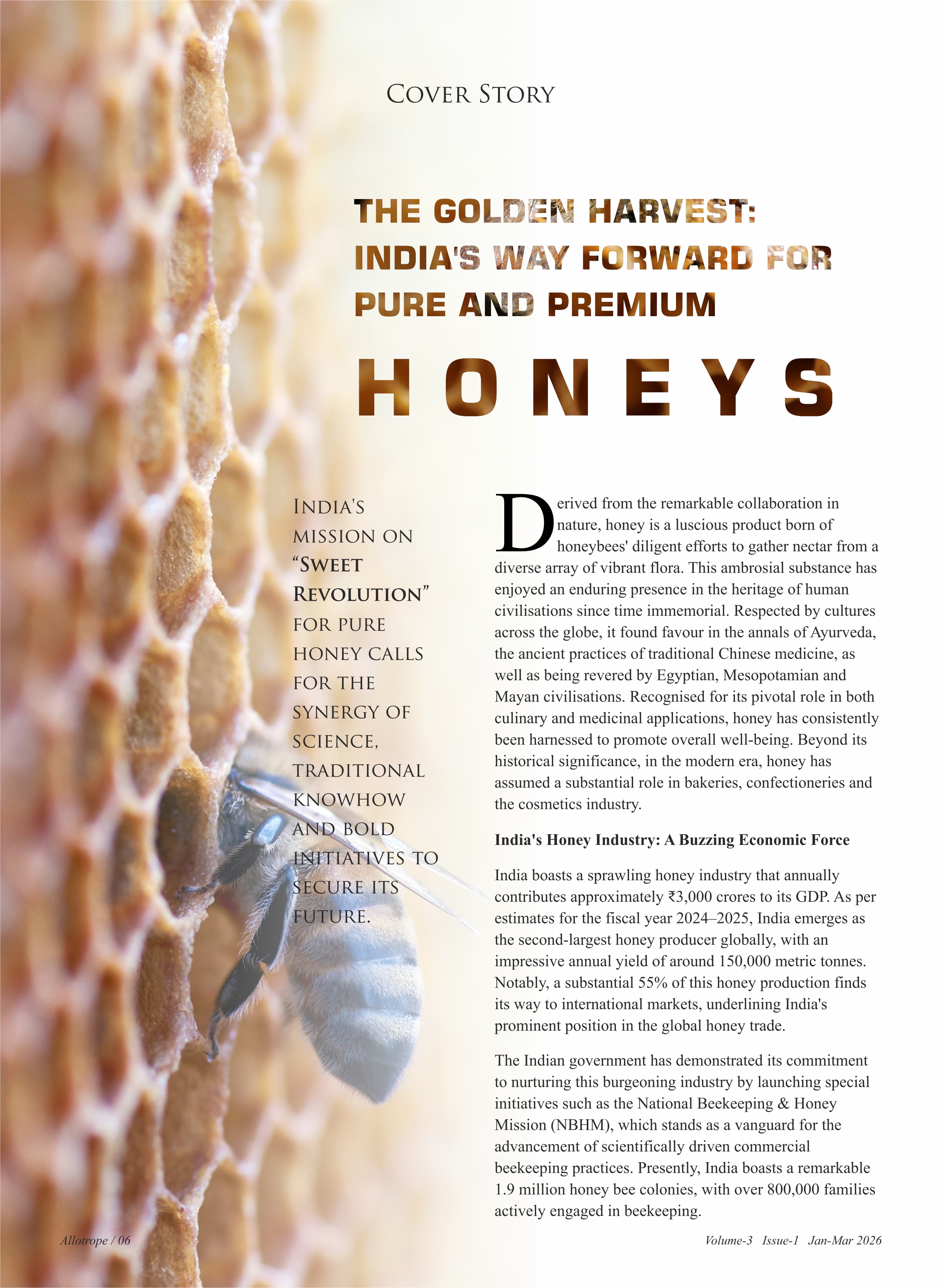 Annual Report Image