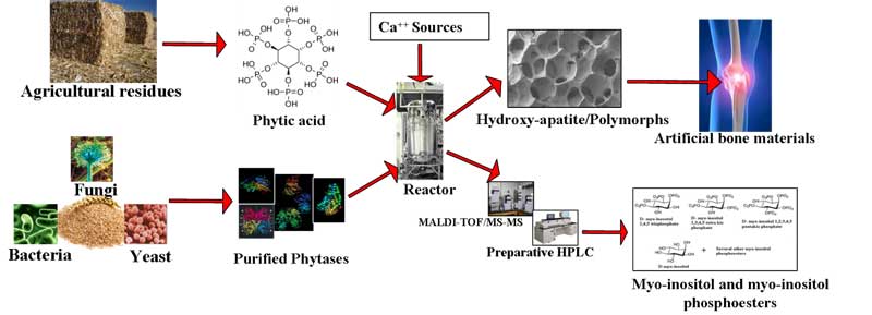 Research Overview Image