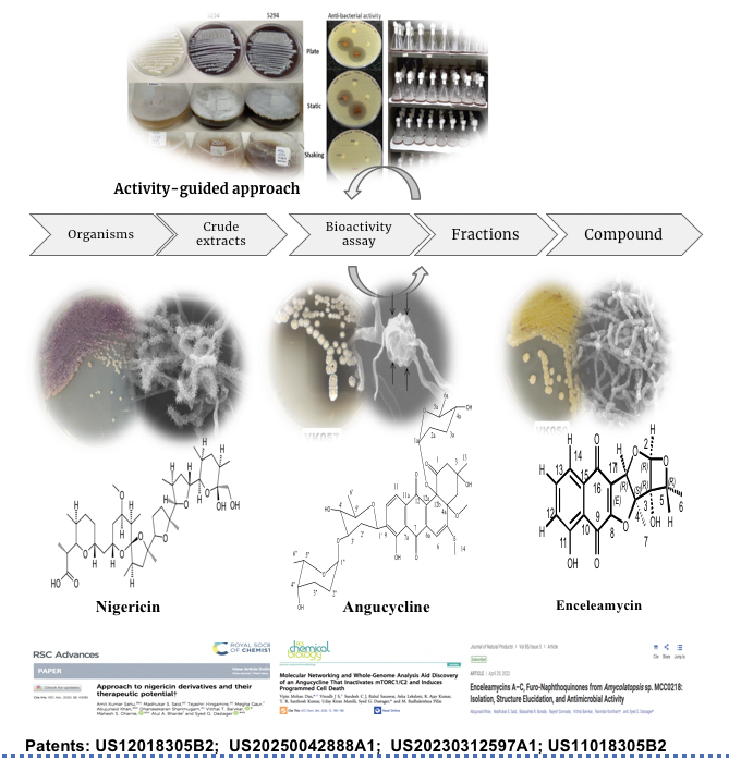 Research Overview Image
