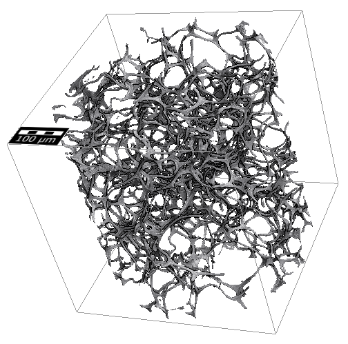 Research Overview Image