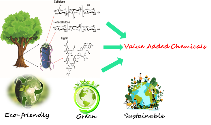 Research Overview Image
