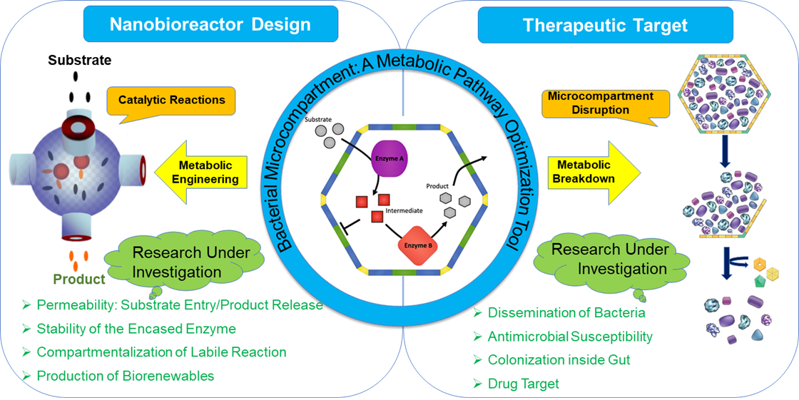 Research Overview Image