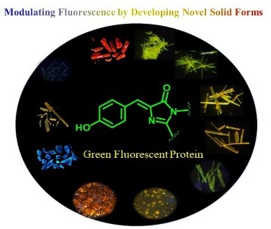 Research Overview Image