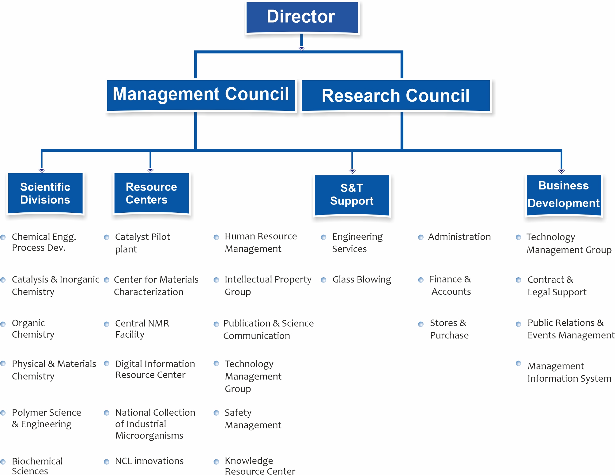 organogram