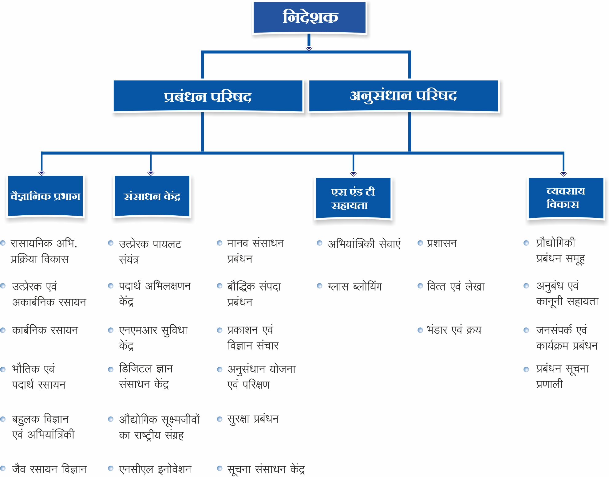 organogram